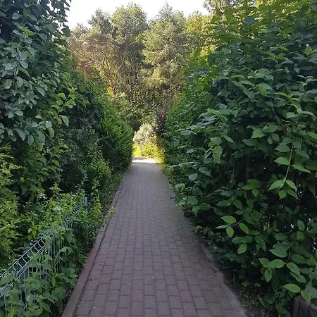 Sloneczna Kawalerka W Centrum Gdyni * Gdynia