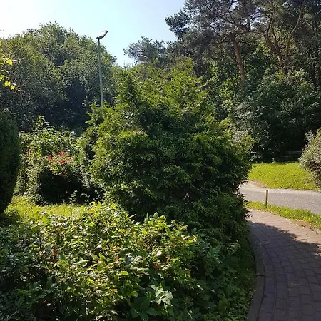 Sloneczna Kawalerka W Centrum Gdyni *
